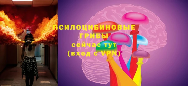дживик Осинники