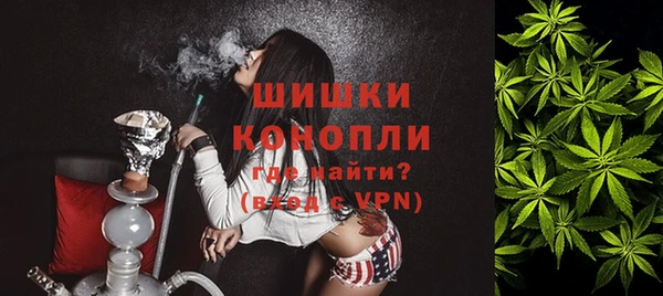 дживик Осинники