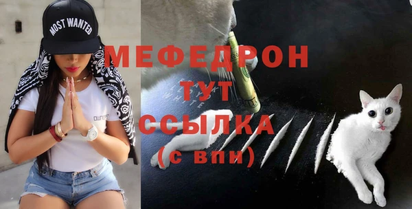 дмт Переславль-Залесский