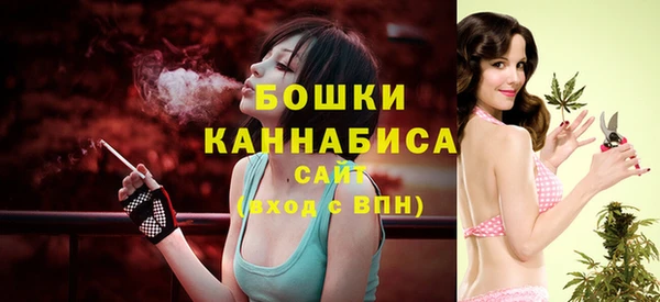 дмт Переславль-Залесский