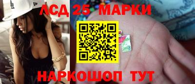 гидропоника Бийск