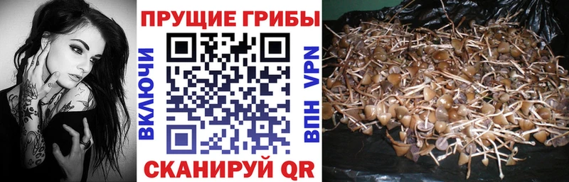 дарнет шоп Ессентуки Галлюциногенные грибы MAGIC MUSHROOMS