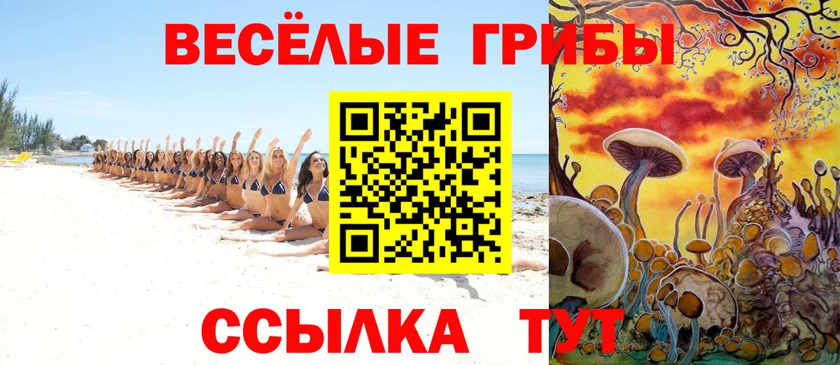 Галлюциногенные грибы GOLDEN TEACHER  Галлюциногенные грибы Cubensis  Ессентуки  Вход с VPN 